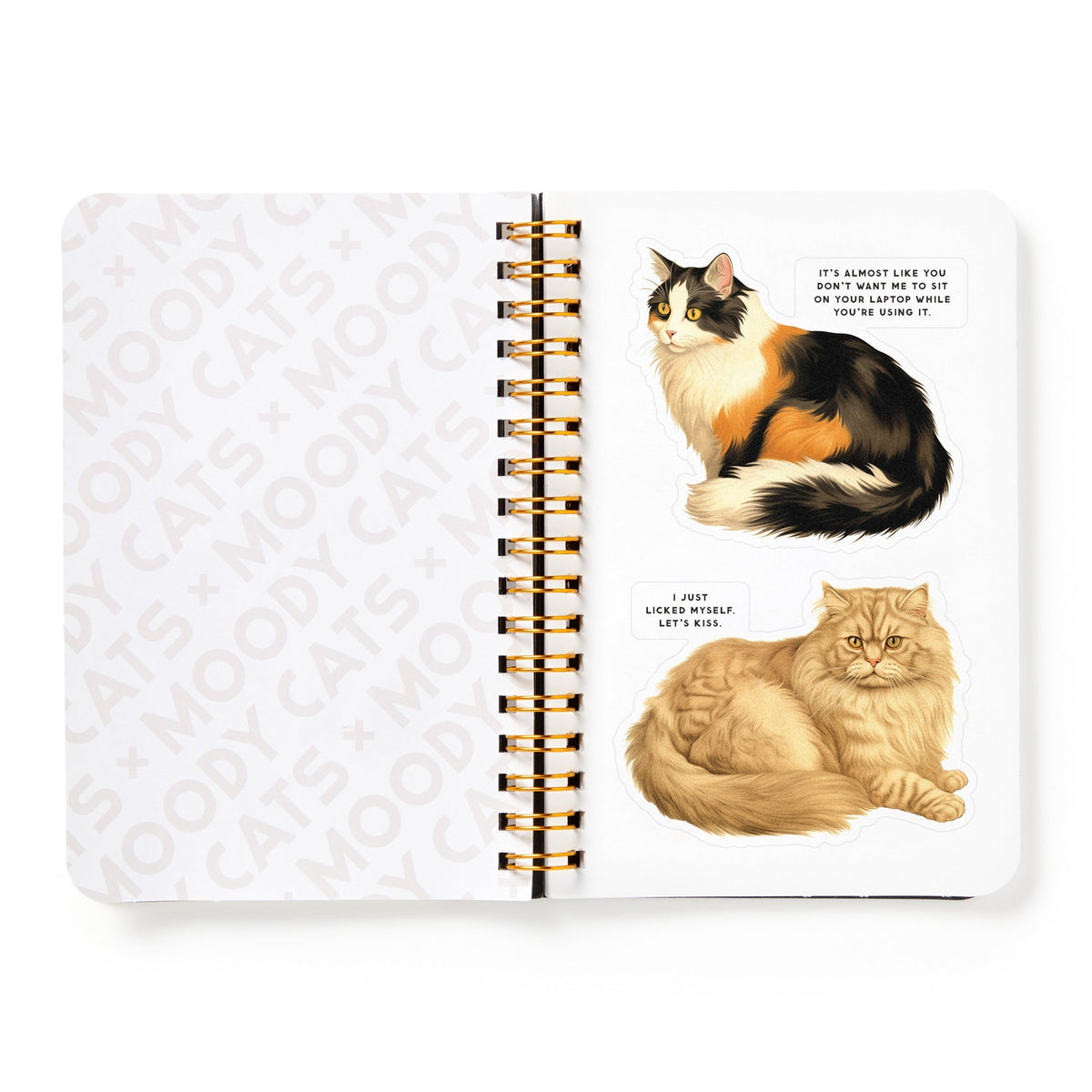 An open spiral notebook shows two illustrated cats from Brass Monkeys Moody Cats Sticker Book. One cat says, Its almost like you dont want me to sit on your laptop. The other says, I just licked myself. Lets kiss.