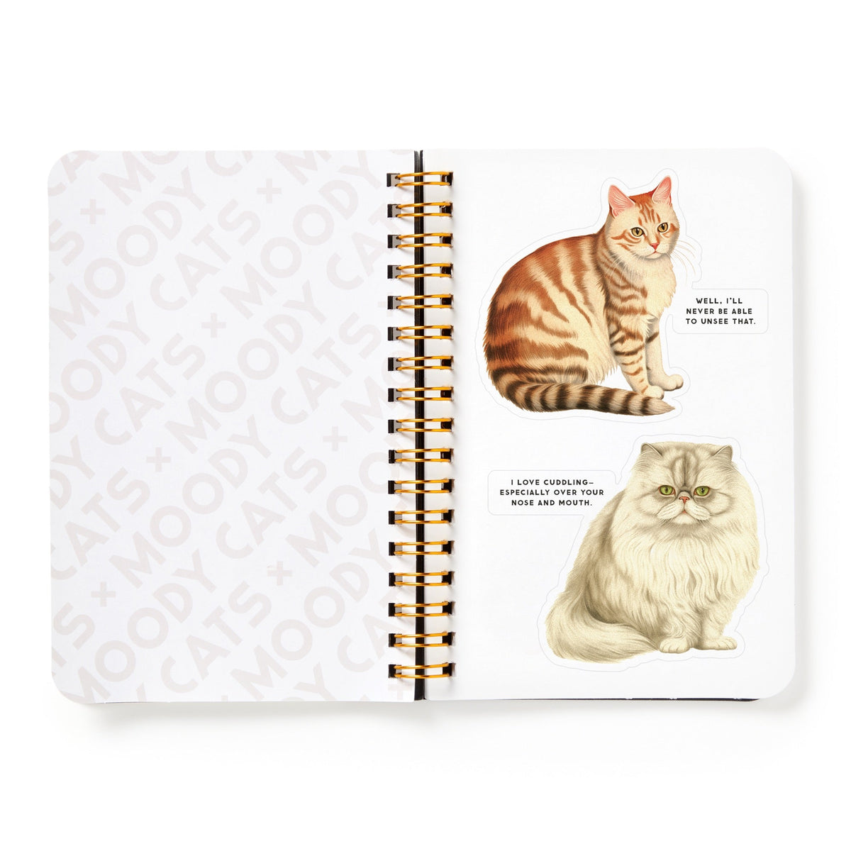 An open spiral notebook features two cat illustrations from Brass Monkeys Moody Cats Sticker Book. The orange tabby says, Well, I’ll never be able to unsee that, and the fluffy cream cat loves cuddling—especially your nose and mouth.