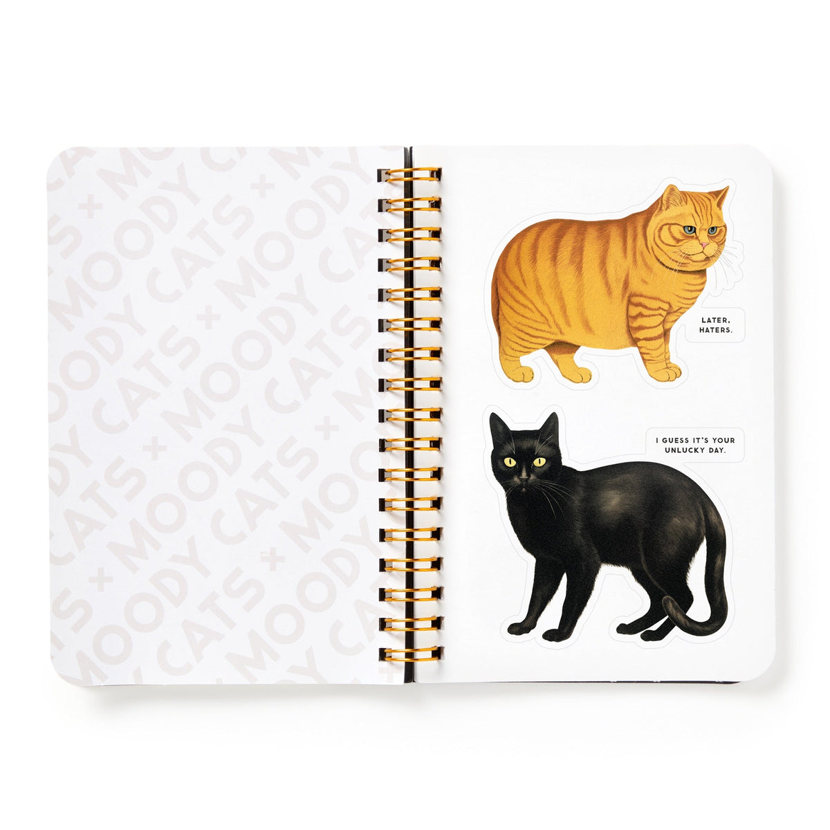 The Brass Monkey Moody Cats Sticker Book features two cat illustrations: an orange tabby with Later, hater! and a black cat with I guess it’s your unlucky day, perfect for displaying your Moody Cats stickers collection.