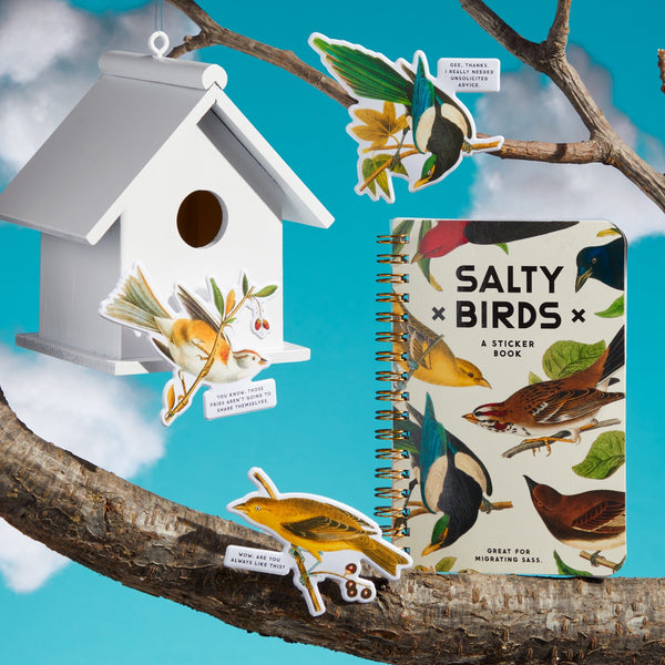 A white birdhouse and the Brass Monkey Salty Birds Sticker Book, featuring vintage illustrations and playful stickers, rest on a tree branch against a blue sky for a whimsical display.