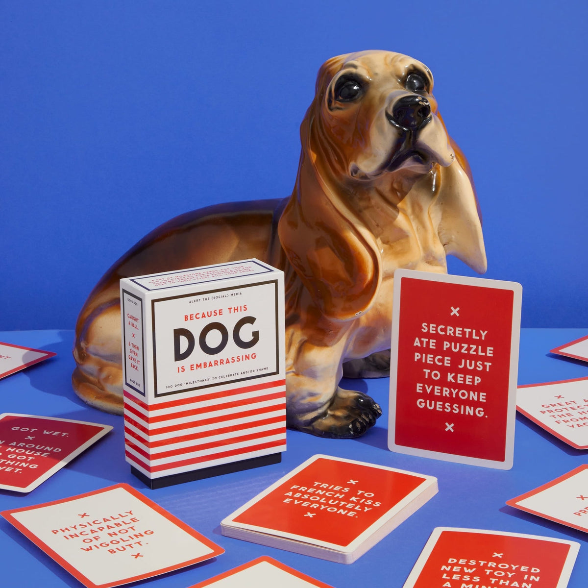 A ceramic basset hound poses with red-and-white cards from Brass Monkey’s Because This Dog Is Embarrassing - Pet Shame/Praise Deck. One card confesses: Secretly ate puzzle piece just to keep everyone guessing.