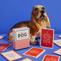 A ceramic basset hound poses with red-and-white cards from Brass Monkey’s Because This Dog Is Embarrassing - Pet Shame/Praise Deck. One card confesses: Secretly ate puzzle piece just to keep everyone guessing.