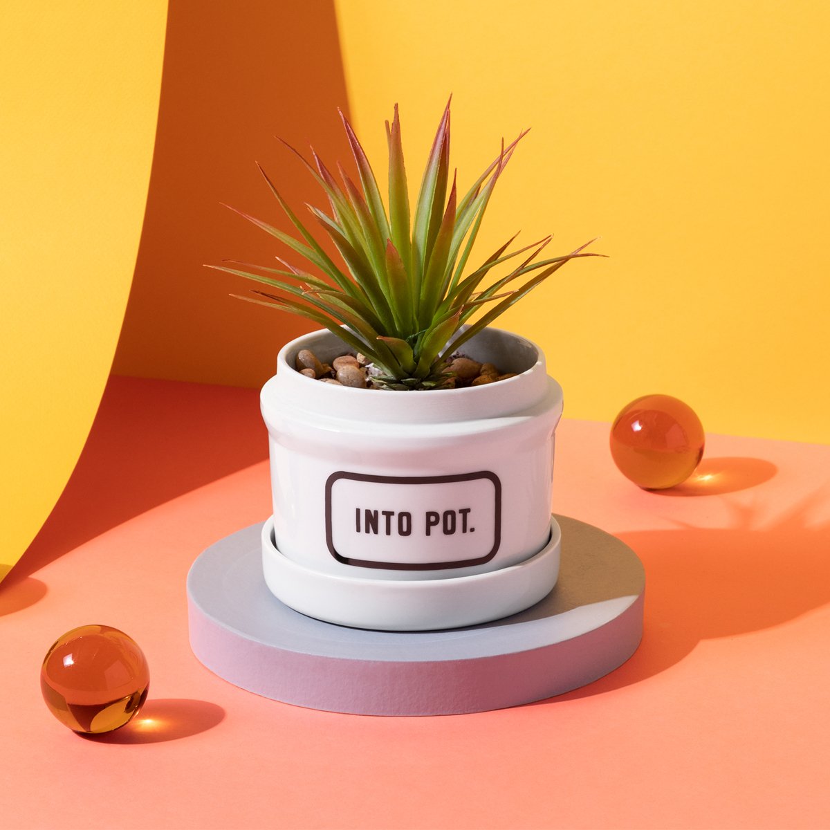 The Brass Monkey Into Pot Planter w/ Drip Tray—a small green succulent in a white ceramic pot—rests on a round gray platform, with amber glass spheres and a yellow-orange backdrop adding bold, modern flair with vintage touches.