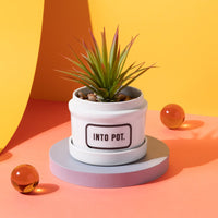 The Brass Monkey Into Pot Planter w/ Drip Tray—a small green succulent in a white ceramic pot—rests on a round gray platform, with amber glass spheres and a yellow-orange backdrop adding bold, modern flair with vintage touches.