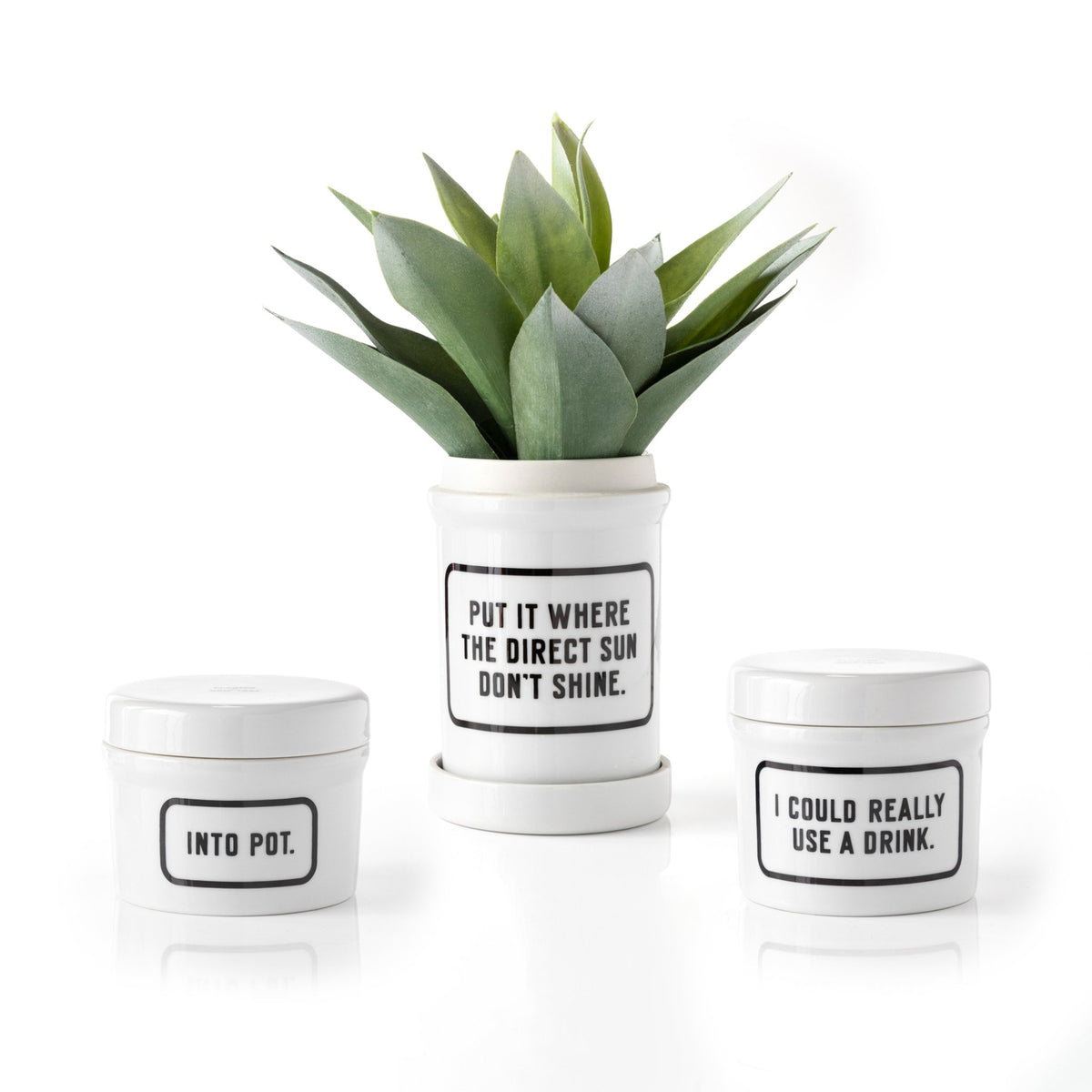 The Brass Monkey Into Pot Planter w/ Drip Tray set features three white ceramic planters with black text, including INTO POT. and I COULD REALLY USE A DRINK., plus one for a succulent reading PUT IT WHERE THE DIRECT SUN DONT SHINE.
