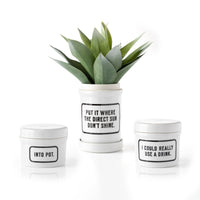 The Brass Monkey Into Pot Planter w/ Drip Tray set features three white ceramic planters with black text, including INTO POT. and I COULD REALLY USE A DRINK., plus one for a succulent reading PUT IT WHERE THE DIRECT SUN DONT SHINE.