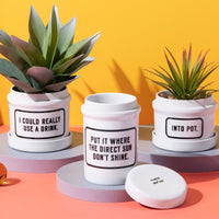 Three white “Into Pot Planter w/ Drip Tray” containers by Brass Monkey, each with a funny quote, are displayed on pastel platforms with succulents against a yellow background. The quotes include: “I COULD REALLY USE A DRINK” and more.