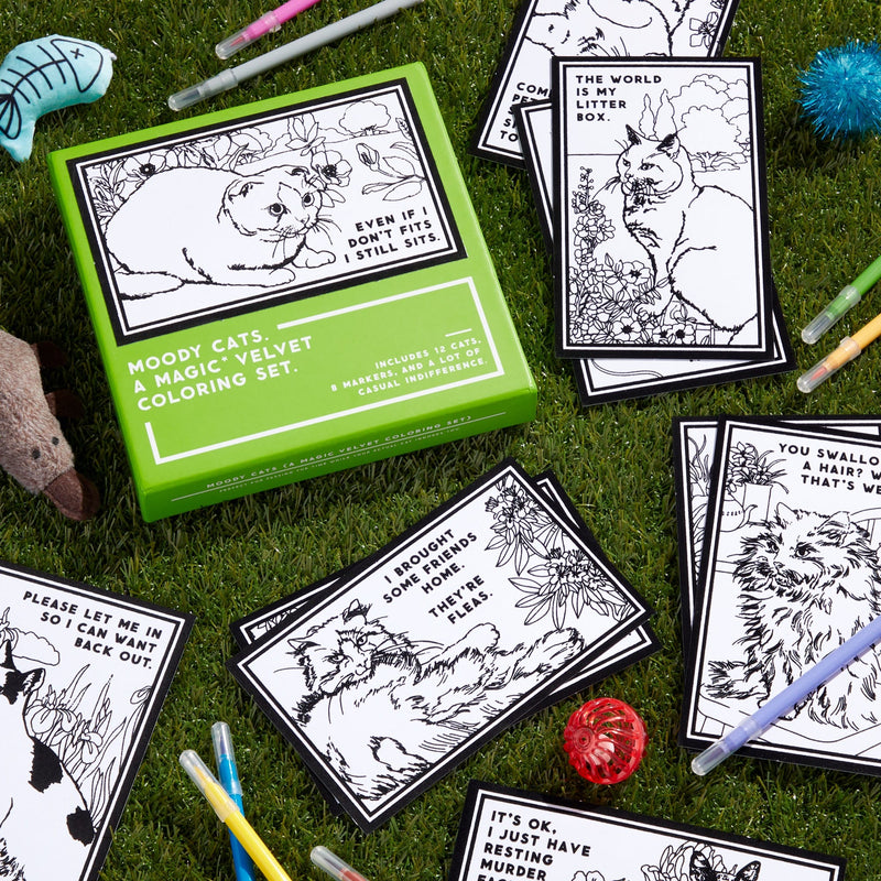 The Brass Monkey Moody Cats Magic Velvet Coloring Set sits on grass, surrounded by brush-tip markers and illustrated cat cards with funny captions. The box shows a moody cat and reads: Even if I dont fits, I still sits.