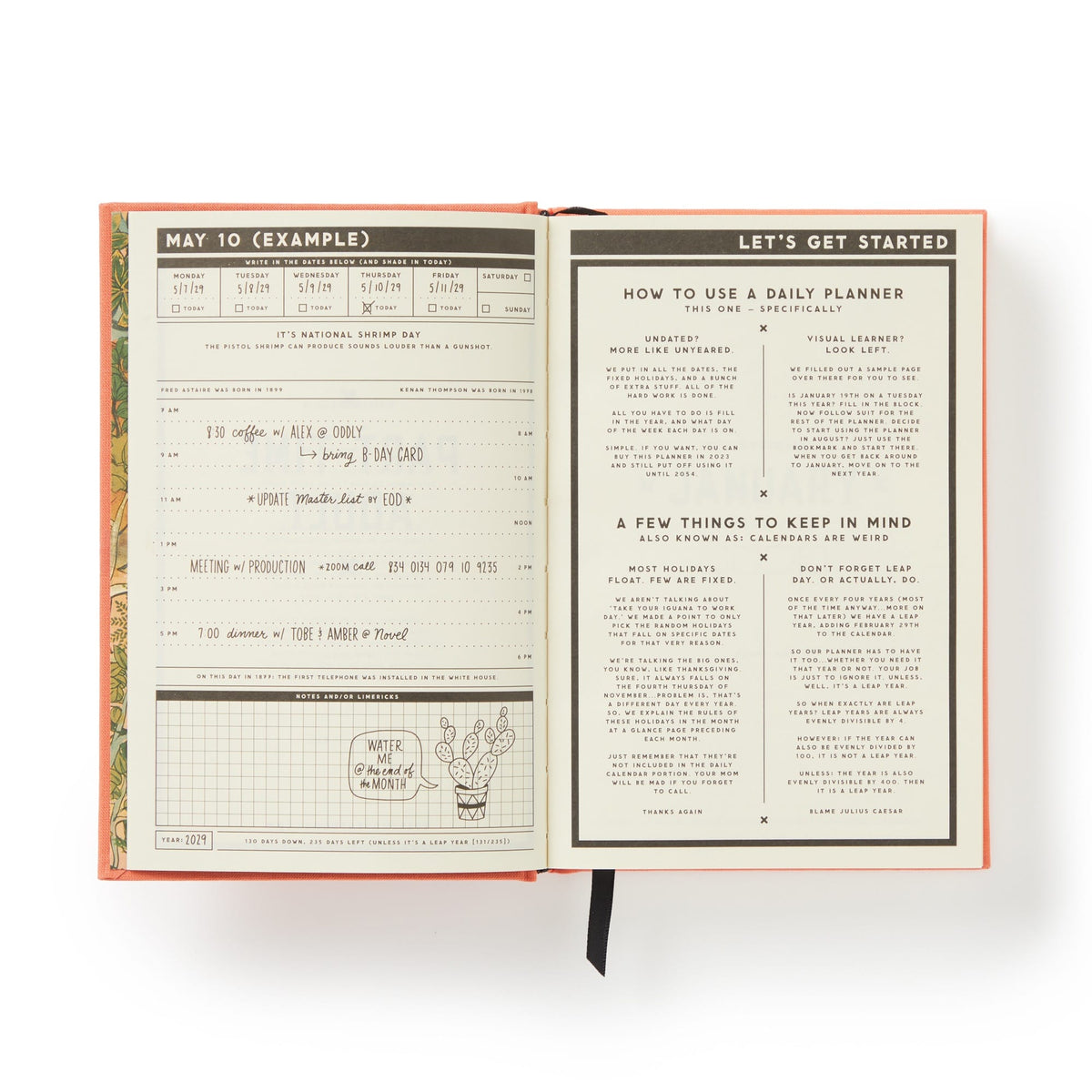 The Brass Monkey Part-Time Adult Undated Daily Planner shows a sample daily schedule on the left and planner tips on the right, with a cactus illustration, plus sections for notes and priorities.