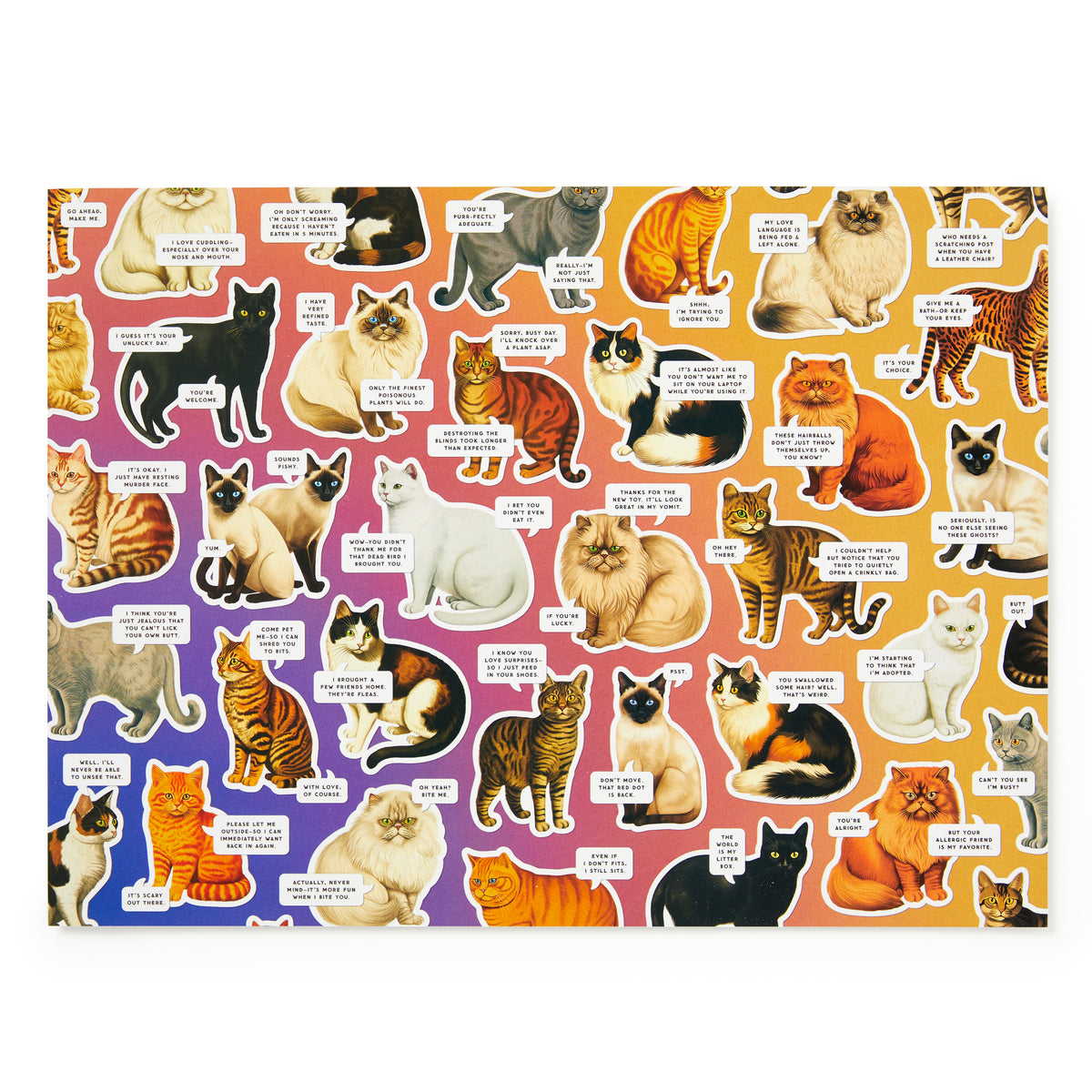 A vibrant collage of illustrated cats with funny speech bubbles stands out on a gradient orange-purple background—ideal for fans of the Brass Monkey Moody Cats 1000 Piece Puzzle or anyone who enjoys humorous cat jigsaws.