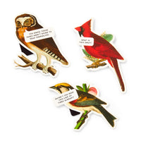 The Brass Monkey Salty Birds Magnetic Bookmark Set features three illustrated bird-shaped bookmarks, each with a funny speech bubble for book lovers.