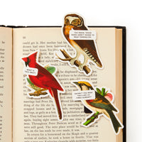 Three Salty Birds Magnetic Bookmarks by Brass Monkey sit on an open book, each with quirky speech bubbles: "What is this smut?", "Those pages won’t read themselves," and "Haven’t you read this already?.