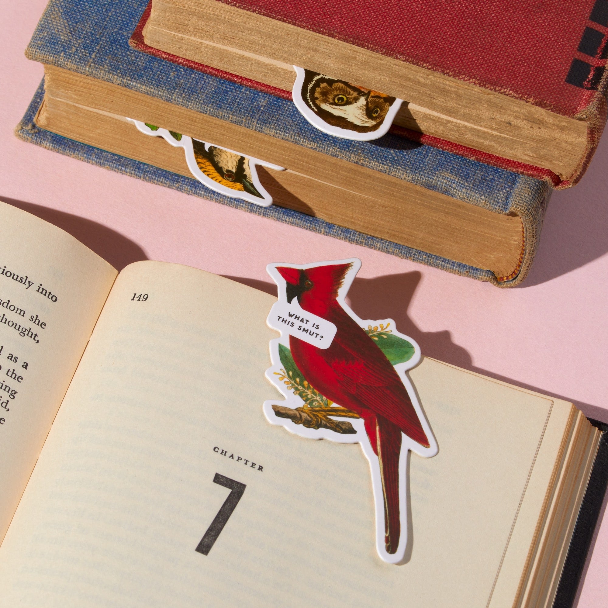 Salty Birds Magnetic Bookmark Set – Brass Monkey