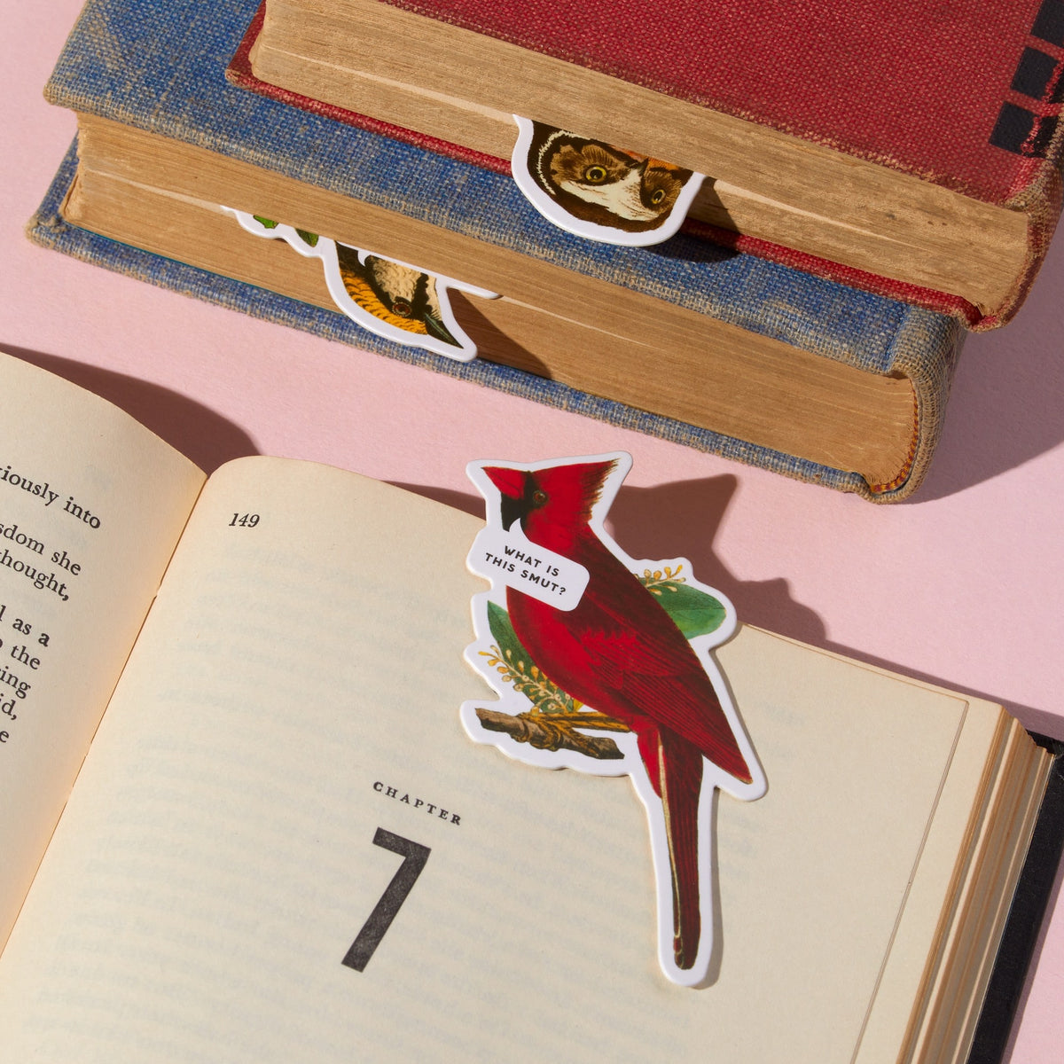 The Salty Birds Magnetic Bookmark Set by Brass Monkey is shown marking a page, featuring a red cardinal with a "What is this, 7th?" speech bubble. Two more closed books with animal bookmarks are in the background on a pink surface.