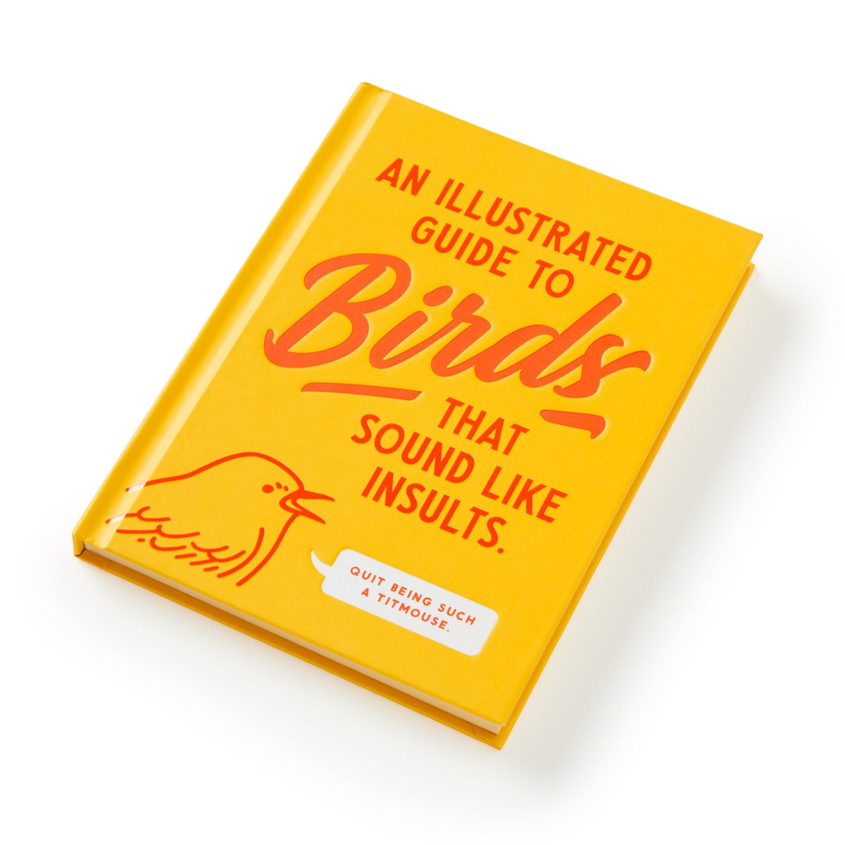 An Illustrated Guide to Birds that Sound like Insults - Brass Monkey - 9780735385689