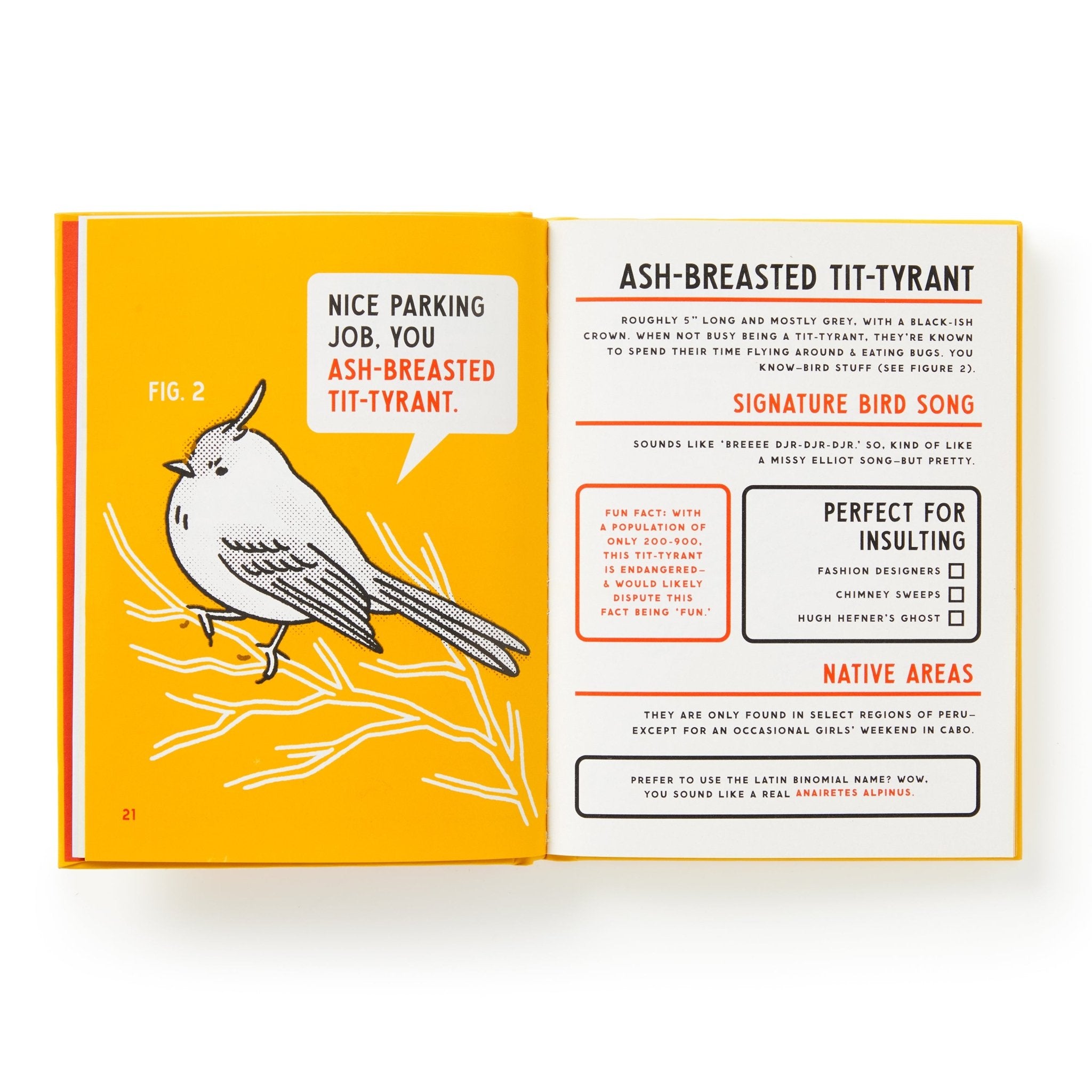 Illustrated Bird Insults Guide Book | Brass Monkey