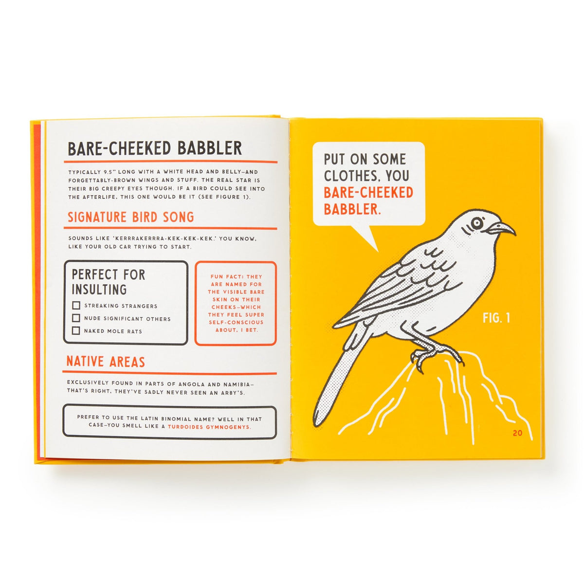 An Illustrated Guide to Birds that Sound like Insults - Brass Monkey - 9780735385689