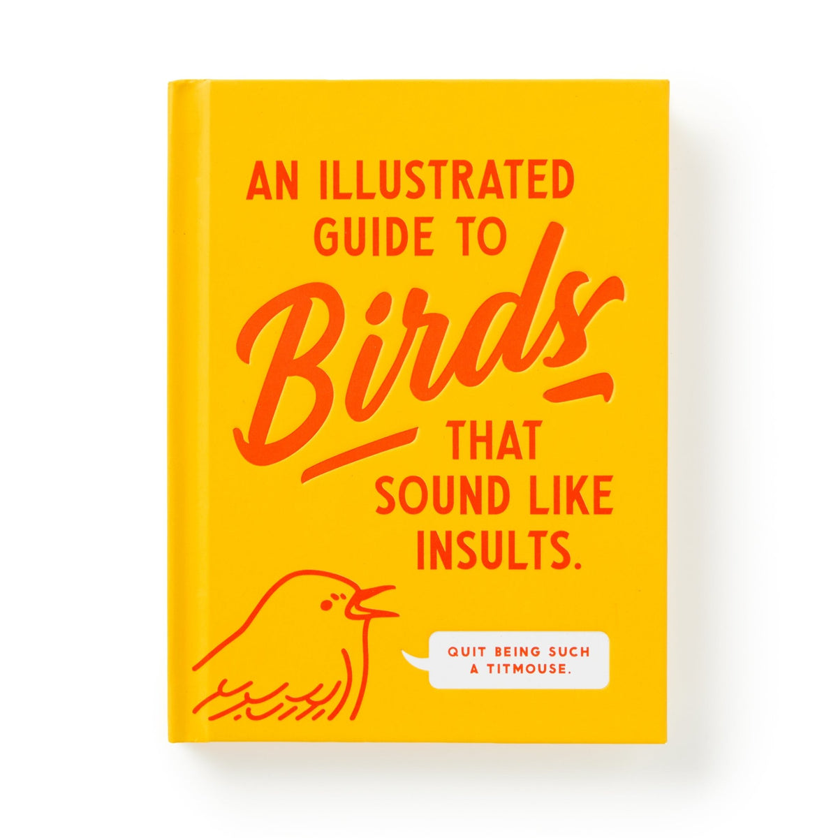 An Illustrated Guide to Birds that Sound like Insults - Brass Monkey - 9780735385689