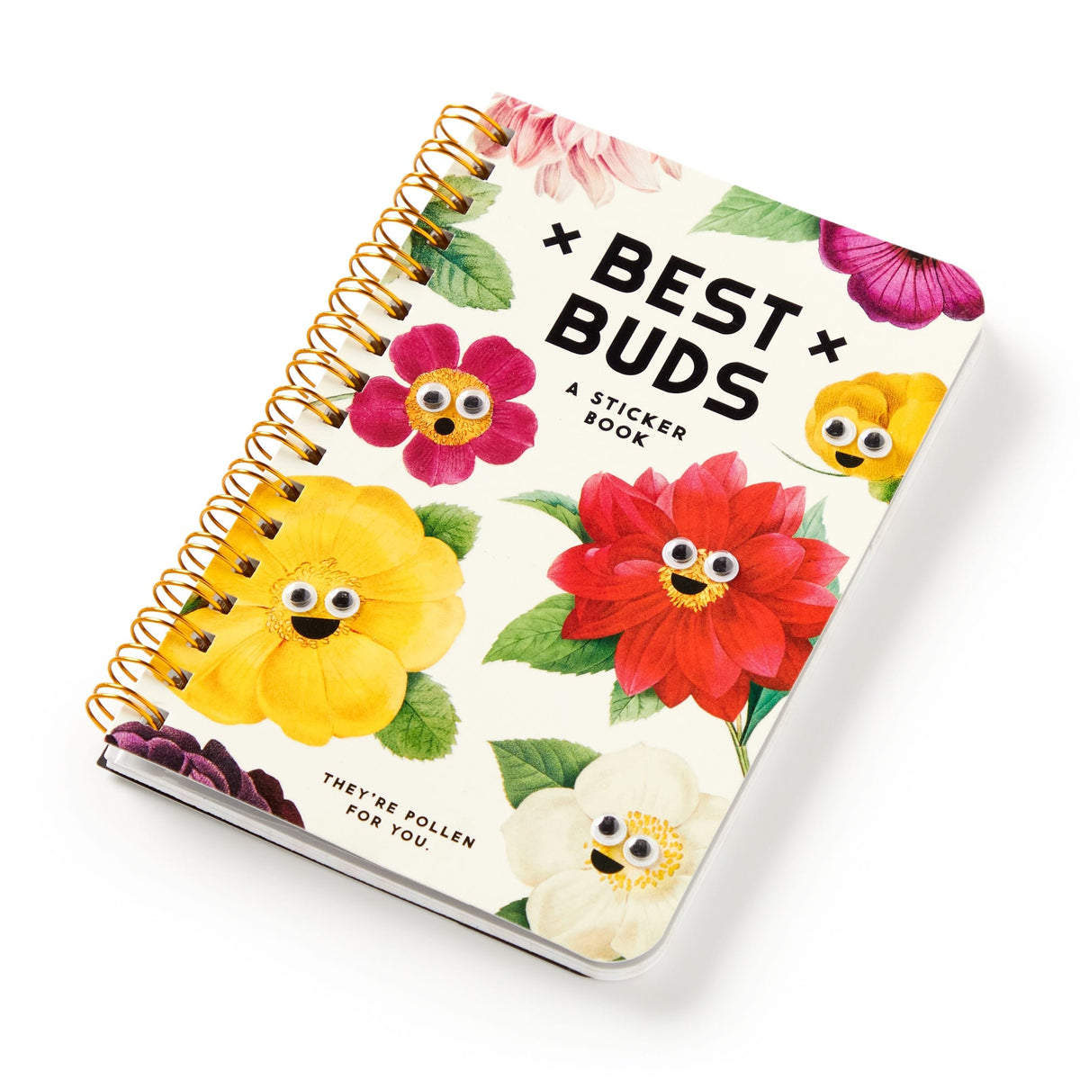 Best Buds Googly Sticker Book - Brass Monkey - 9780735384255