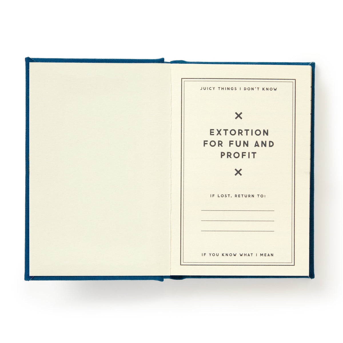 Future Blackmail Tiny Diary - Brass Monkey - 9780735386945