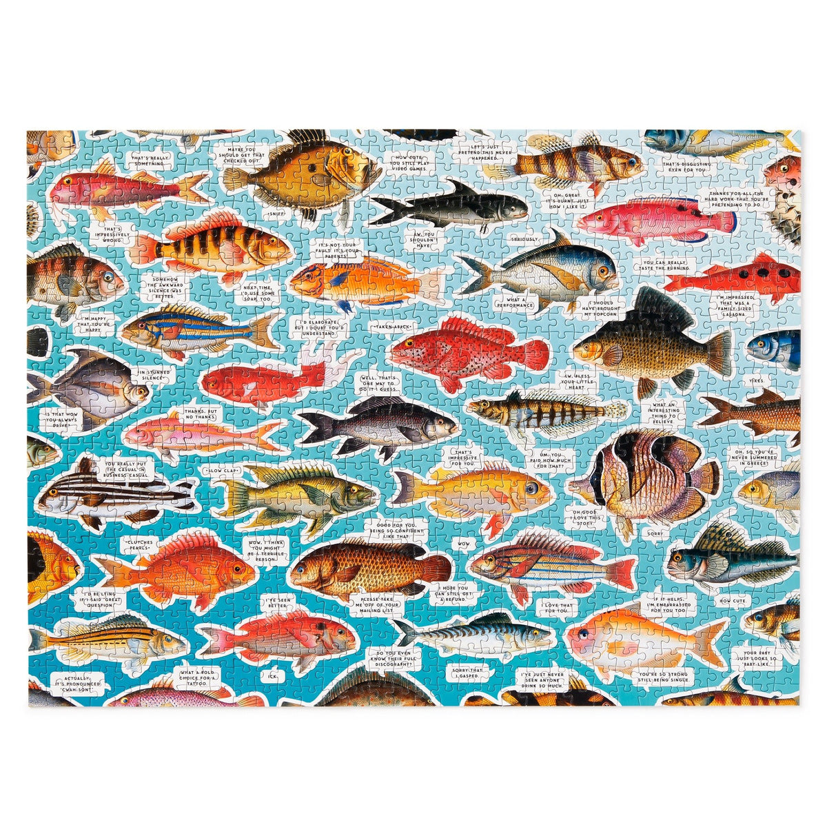 Judgy Fish 1000 Piece Puzzle - Brass Monkey - 9780735377202