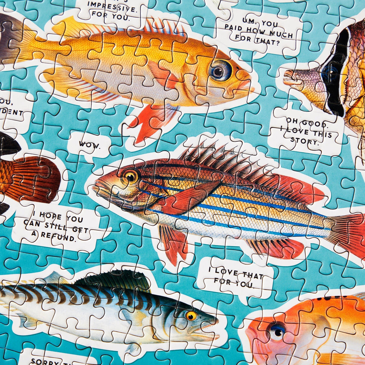 Judgy Fish 1000 Piece Puzzle - Brass Monkey - 9780735377202