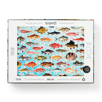 Judgy Fish 1000 Piece Puzzle - Brass Monkey - 9780735377202