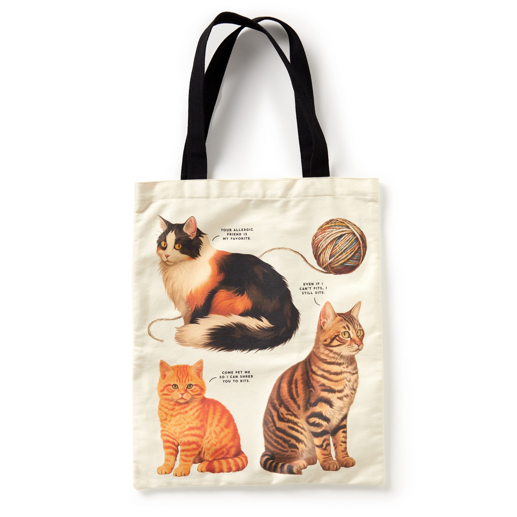 Moody Cats Canvas Tote Bag | Funny Cat Tote | Brass Monkey