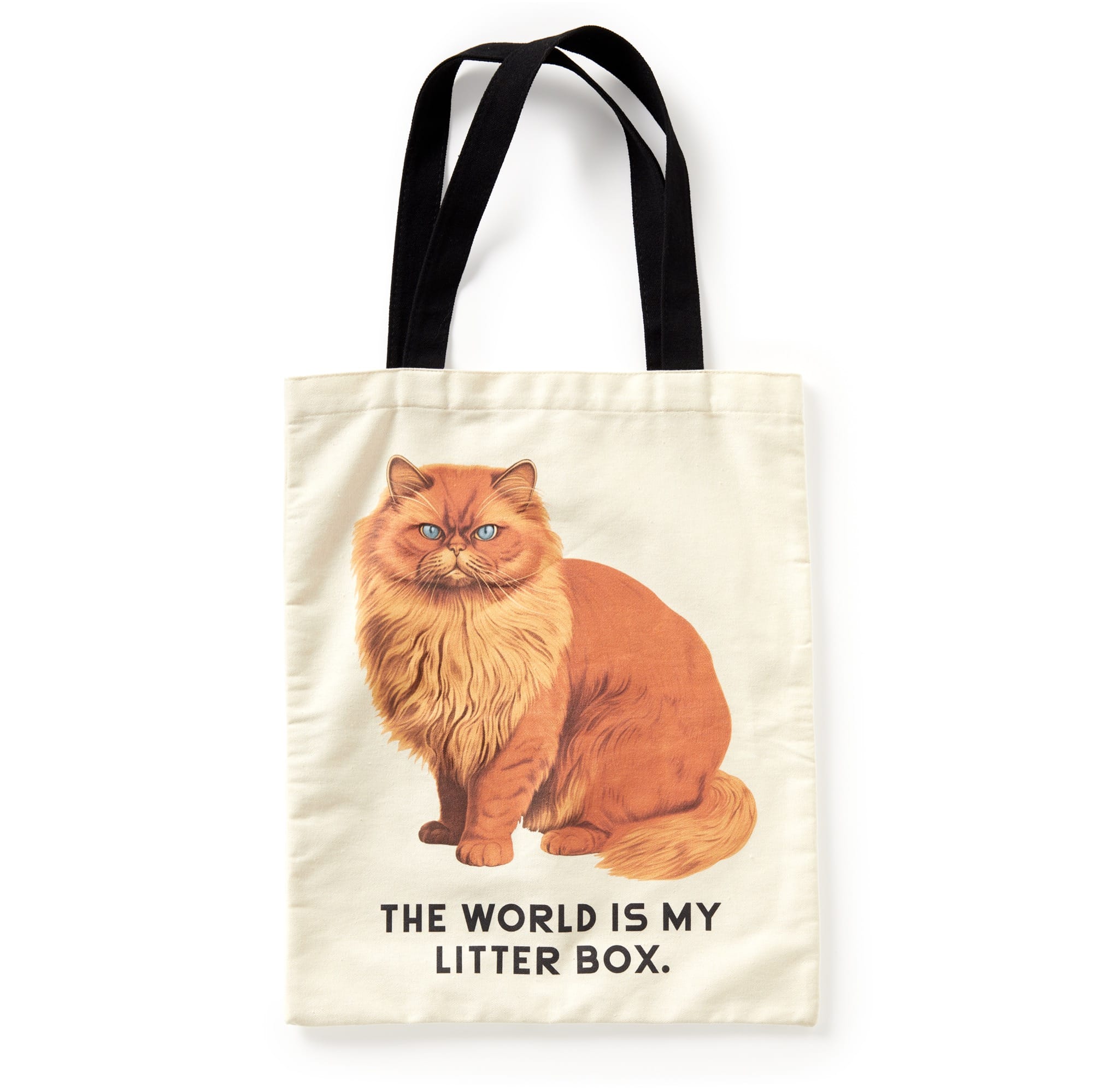 Moody Cats Canvas Tote Bag | Funny Cat Tote | Brass Monkey