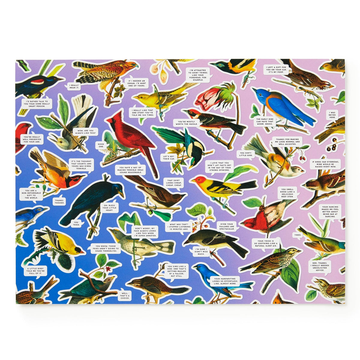 A vibrant collage of illustrated birds with labeled name tags on a gradient background, the Salty Birds 1000 Piece Puzzle by Brass Monkey is perfect for bird lovers and anyone seeking a colorful jigsaw challenge.