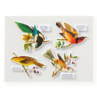 Brass Monkey's Salty Birds 1000 Piece Puzzle features four illustrated birds with comic speech bubbles on a white background, offering a humor-filled jigsaw experience perfect for fans of witty avian art.