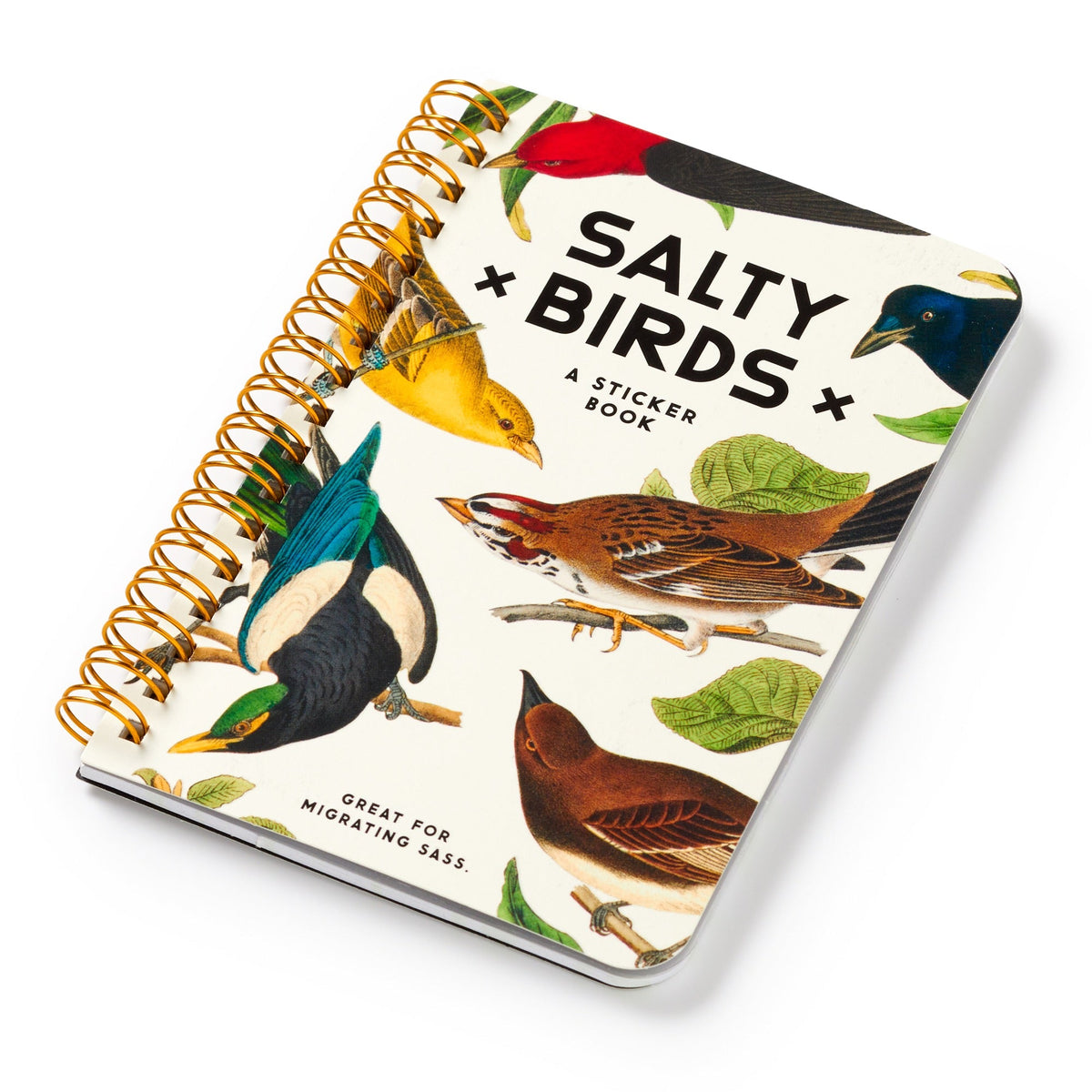 Salty Birds Sticker Book - Brass Monkey Goods - 9780735382947