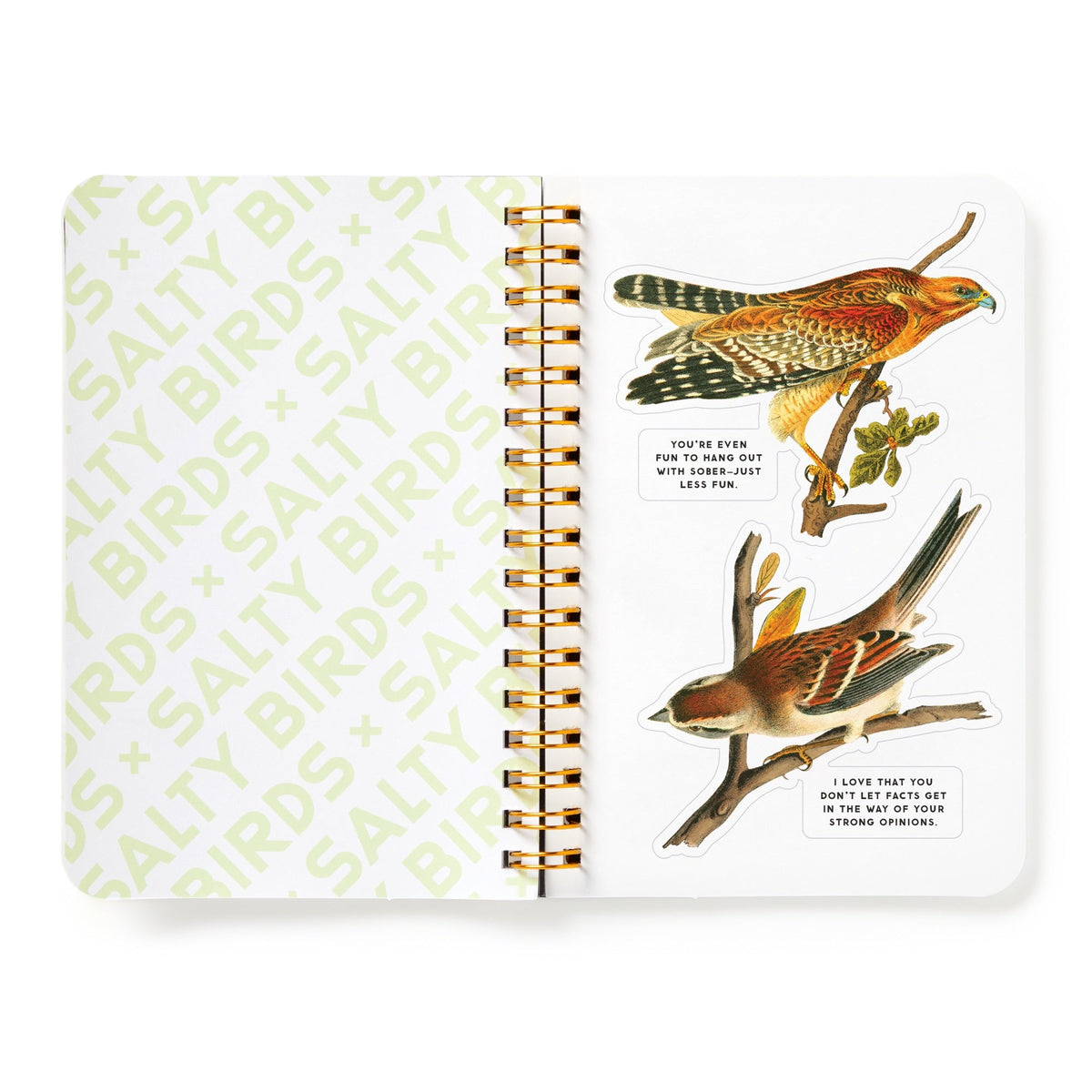 Salty Birds Sticker Book - Brass Monkey Goods - 9780735382947