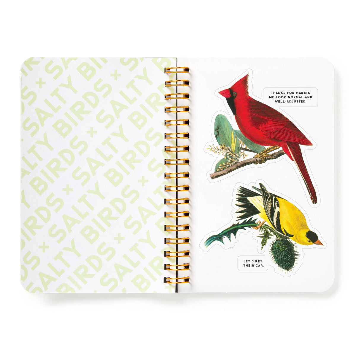 Salty Birds Sticker Book - Brass Monkey Goods - 9780735382947