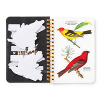 Salty Birds Sticker Book - Brass Monkey Goods - 9780735382947