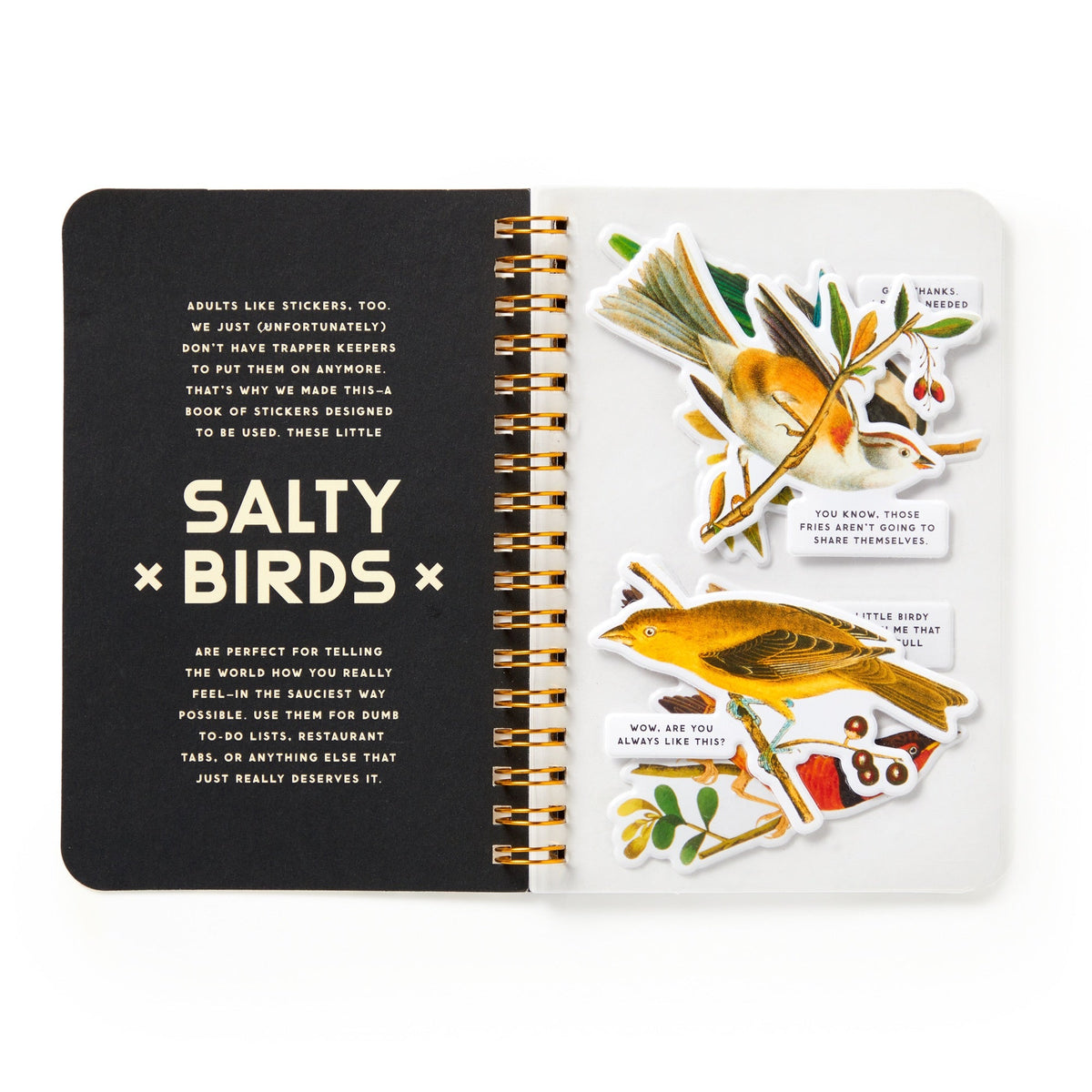 Salty Birds Sticker Book - Brass Monkey Goods - 9780735382947