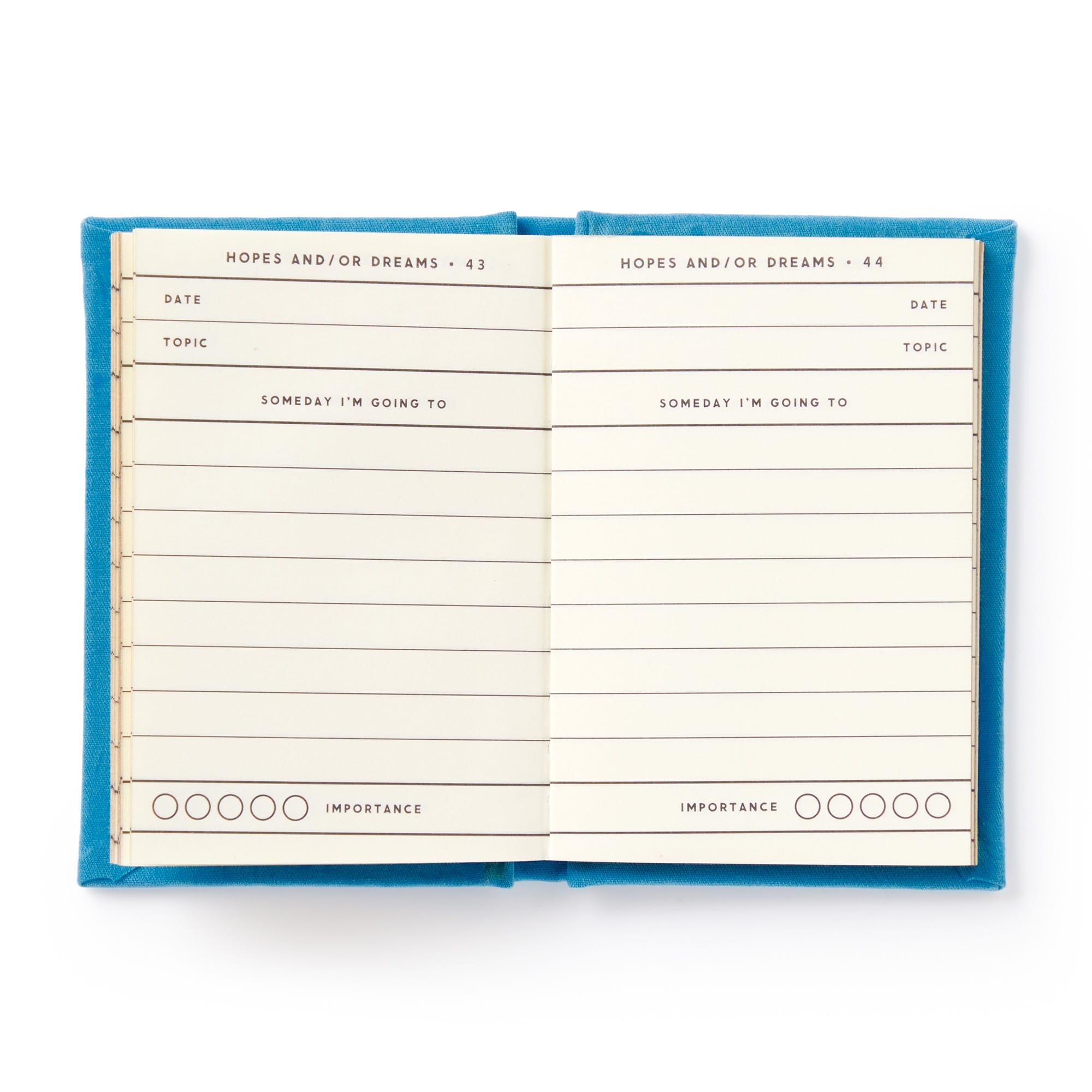 タイニーポエム　日記帳 Tiny Hopes and Dreams Tiny Diary – Brass Monkey