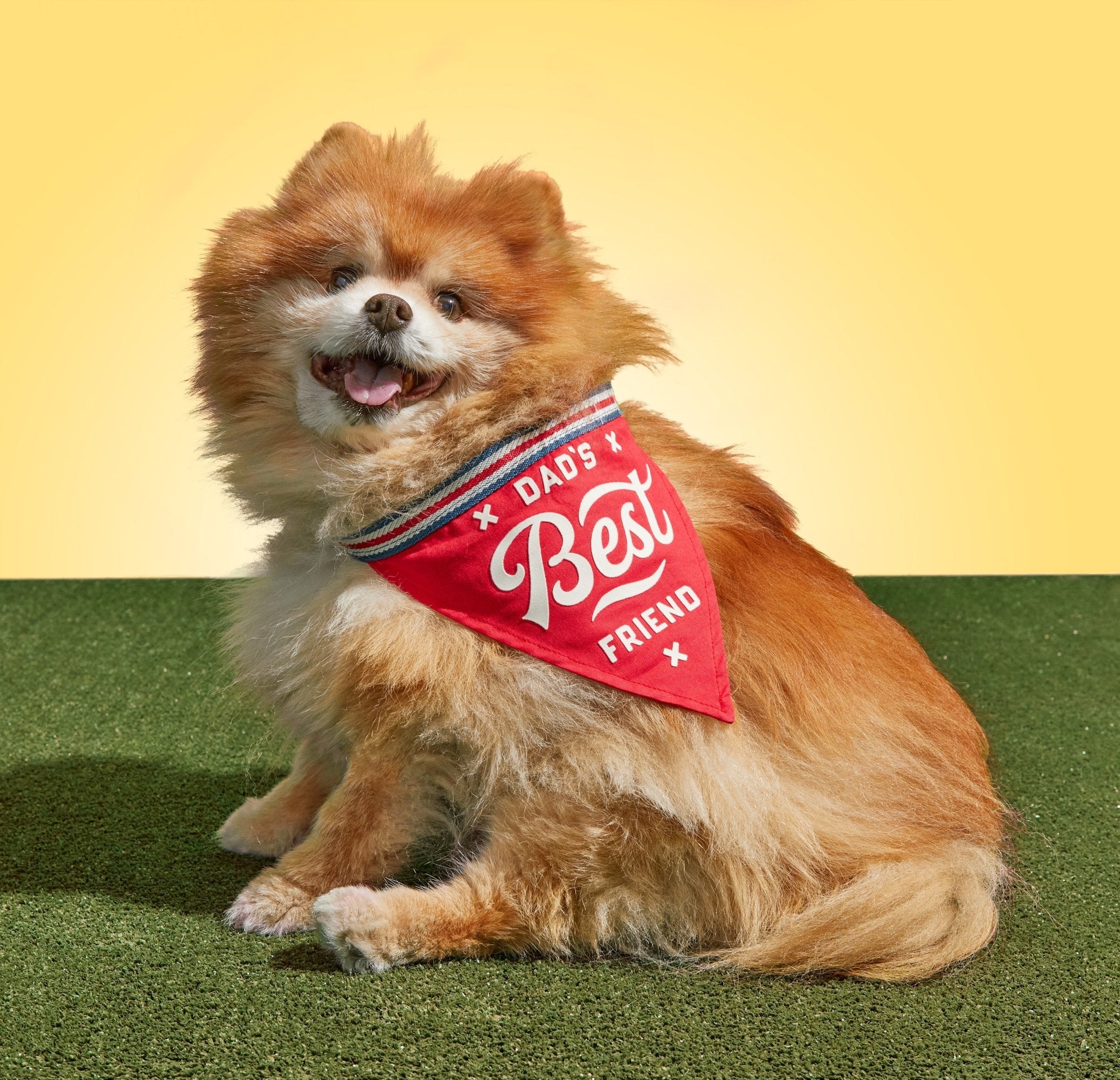 Dad' s Best Friend Dog Bandana