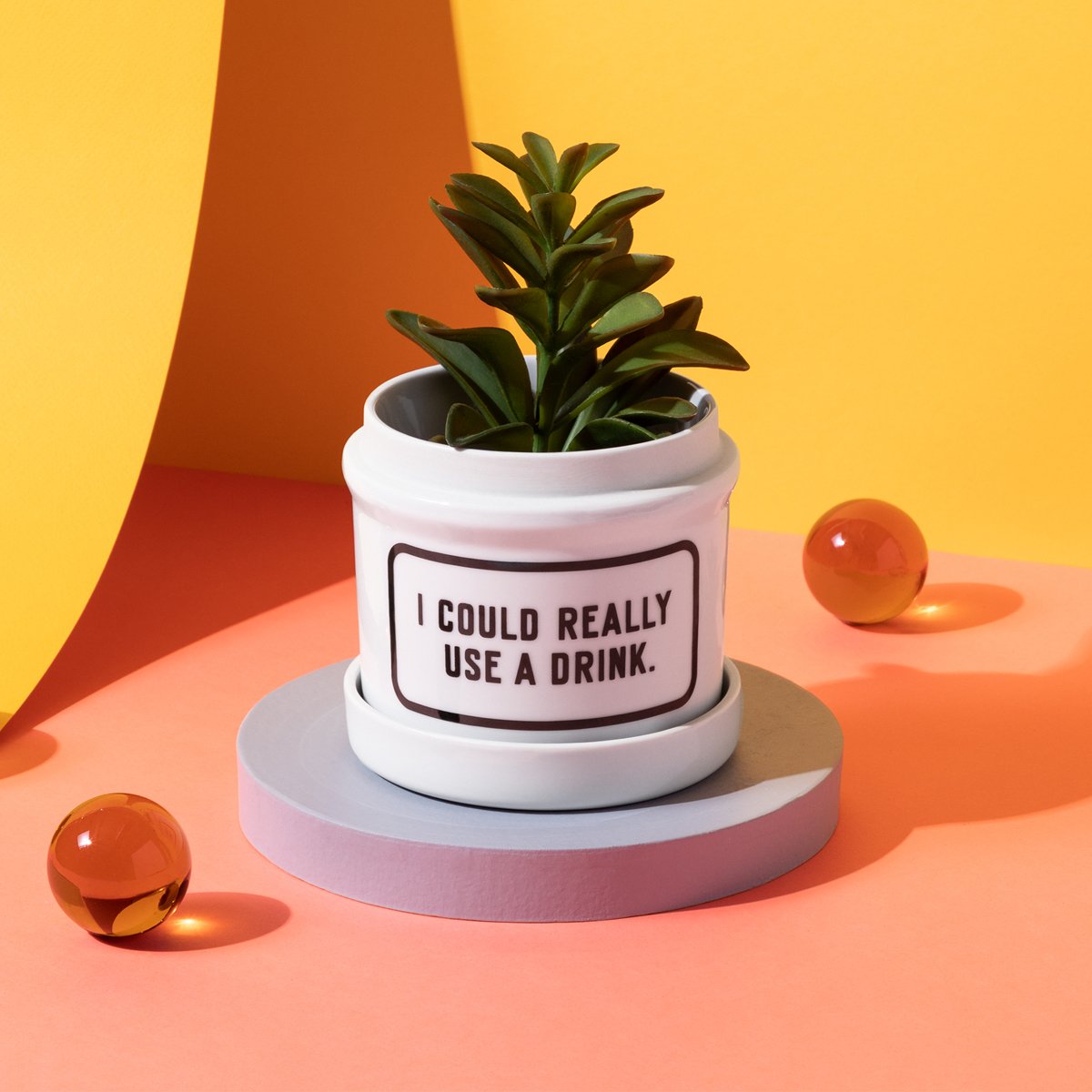 potted plant drink I Could Really Use a Drink Planter w/ Drip Tray