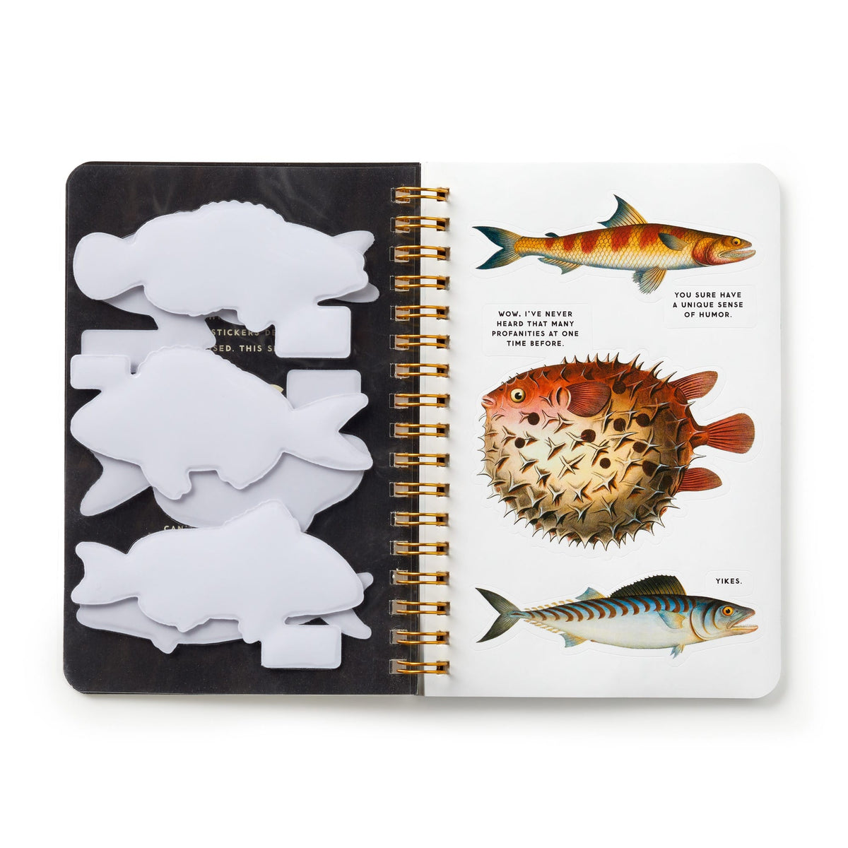 Judgy Fish Sticker Book - Brass Monkey - 9780735379398