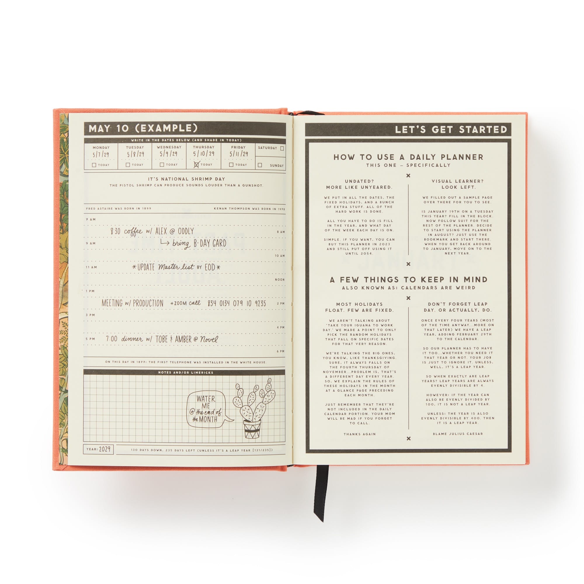 Part-Time Adult Undated Daily Planner | Brass Monkey