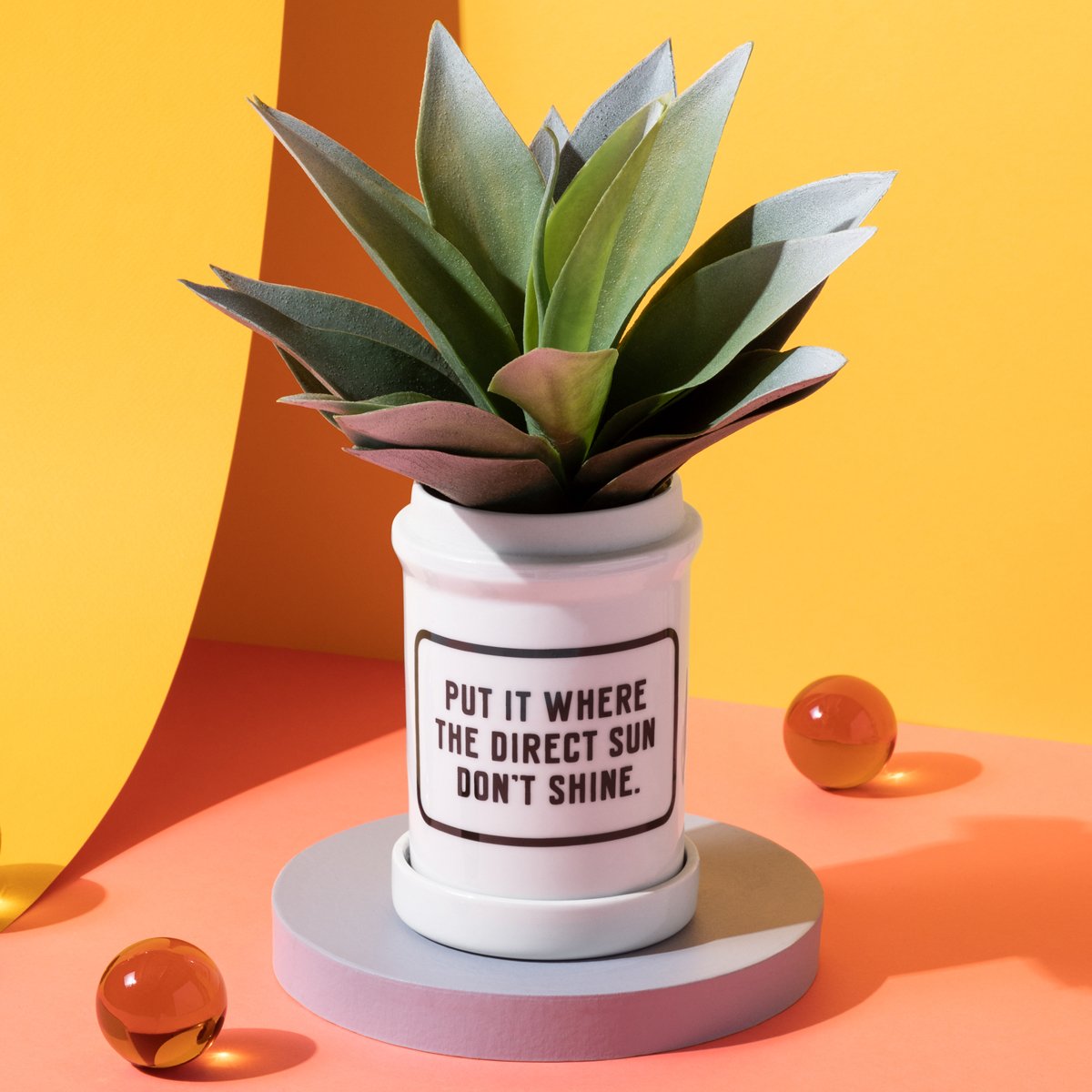 Put It Where The Direct Sun Don't Shine Planter W/ Drip Tray
